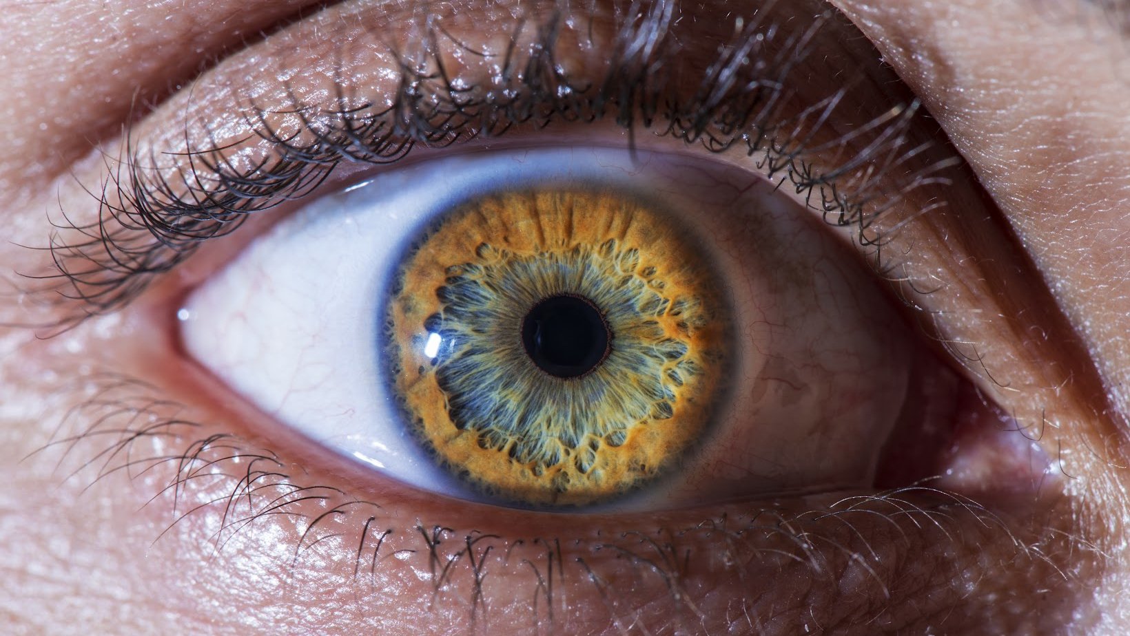 What Are Punctal Plugs?