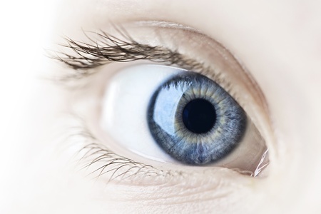 Image of a healthy eye and eyelid