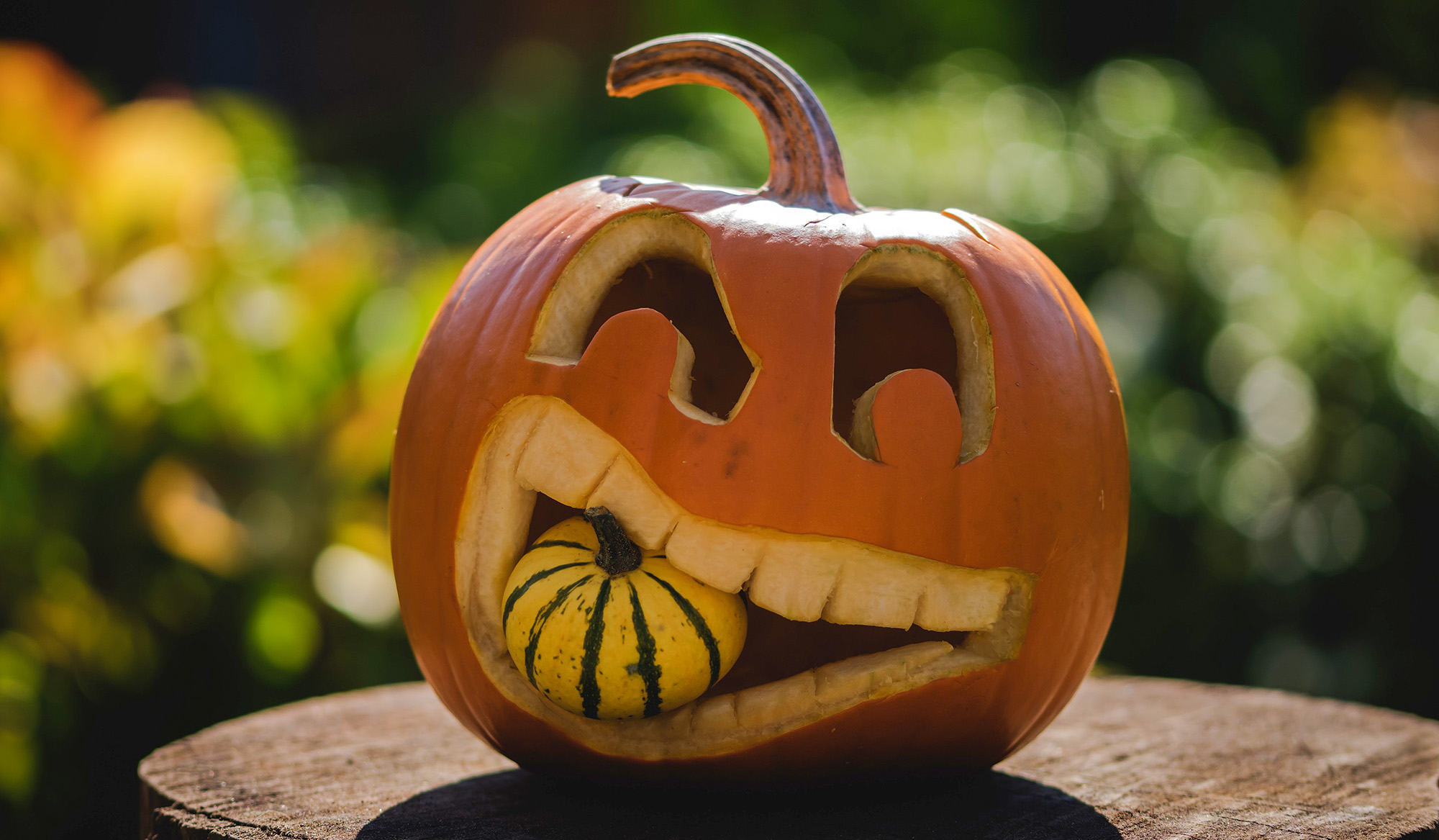 How To Cut Up A Pumpkin To Eat How To Cut Up A Pumpkin To Eat